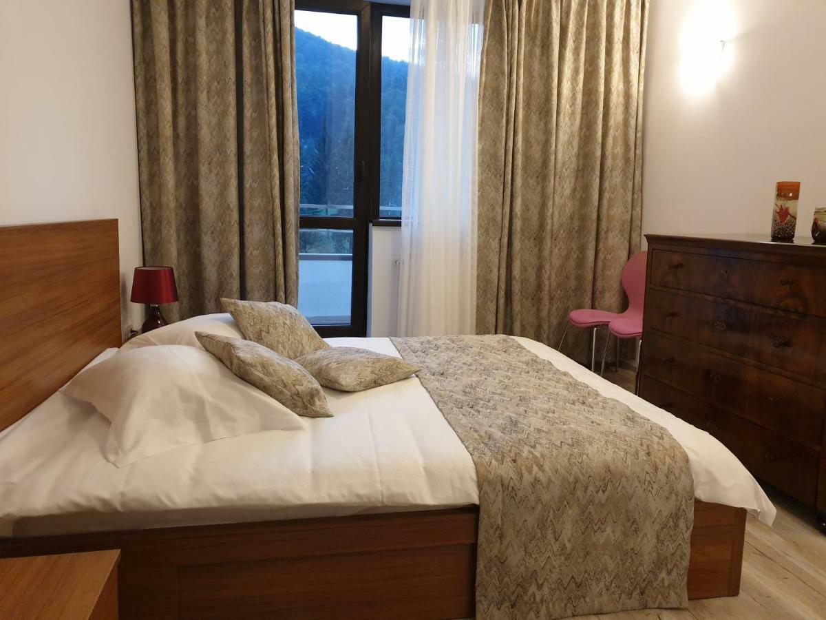 דירות סינאיה Riky Apart Mountain View מראה חיצוני תמונה